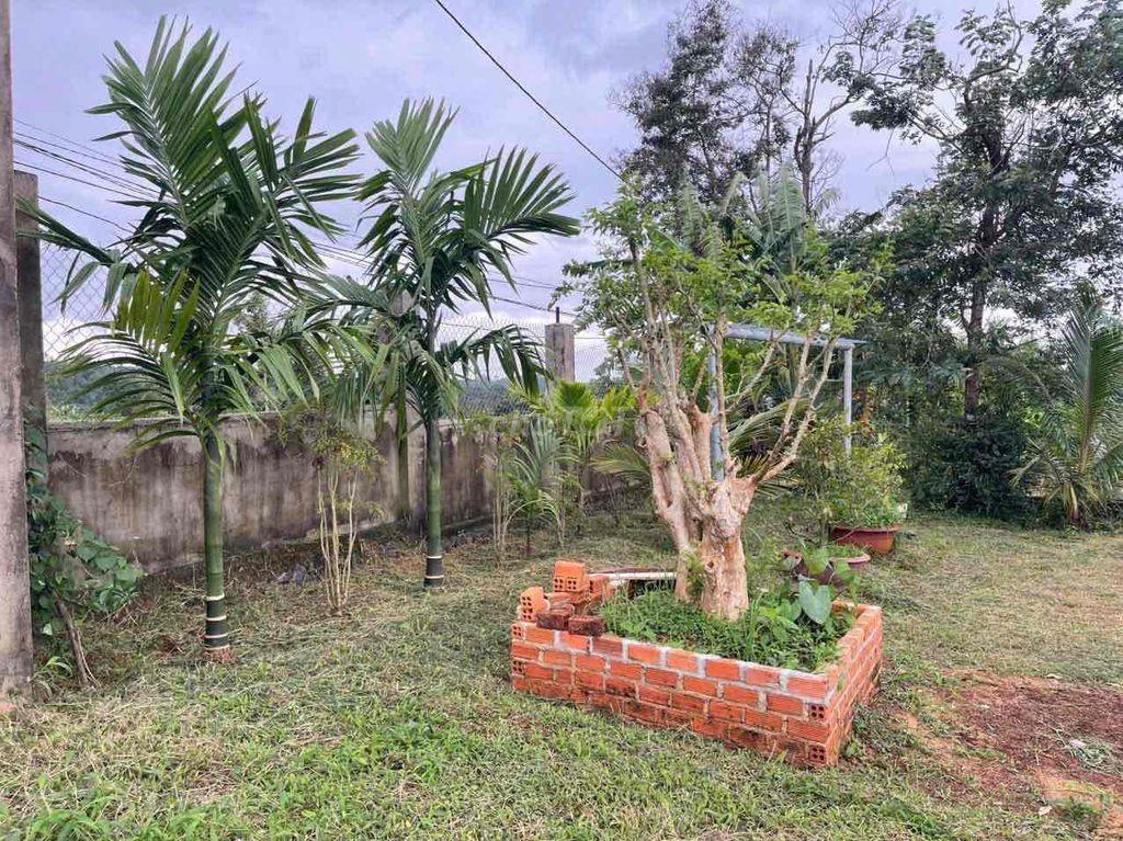 bán nhà vường 2.000m2