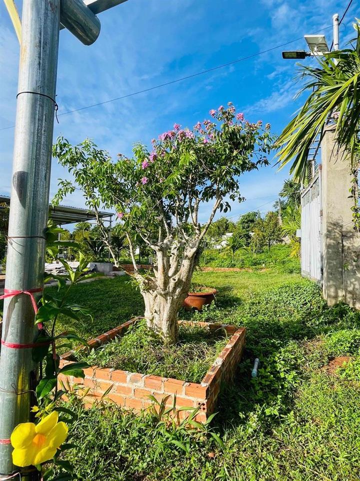 bán nhà vường 2.000m2