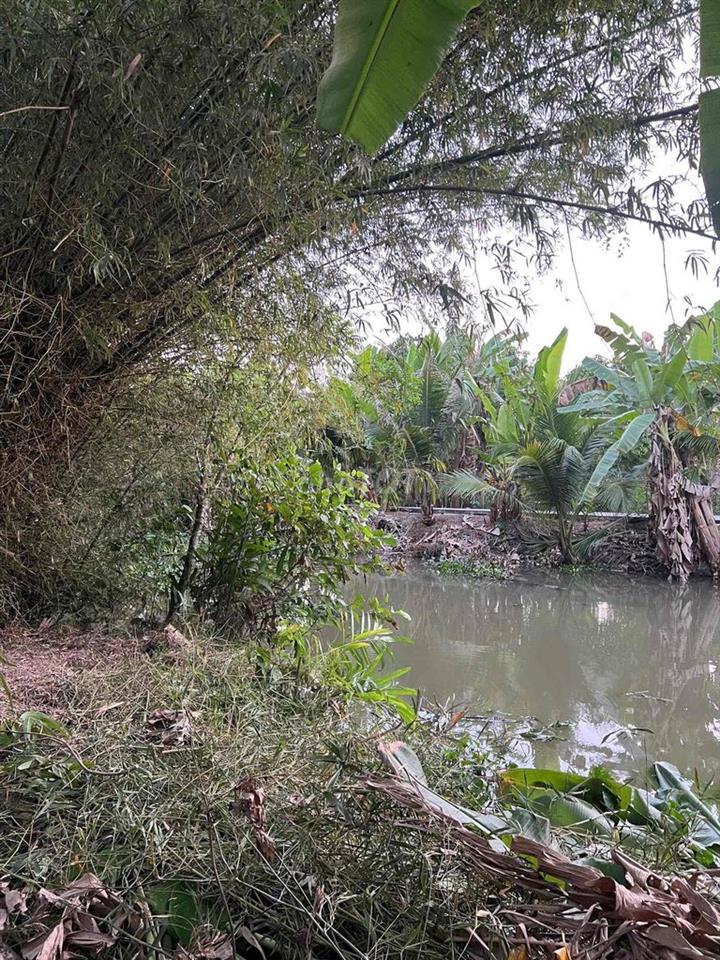 Đất vườn gần một công tại Cần Thơ