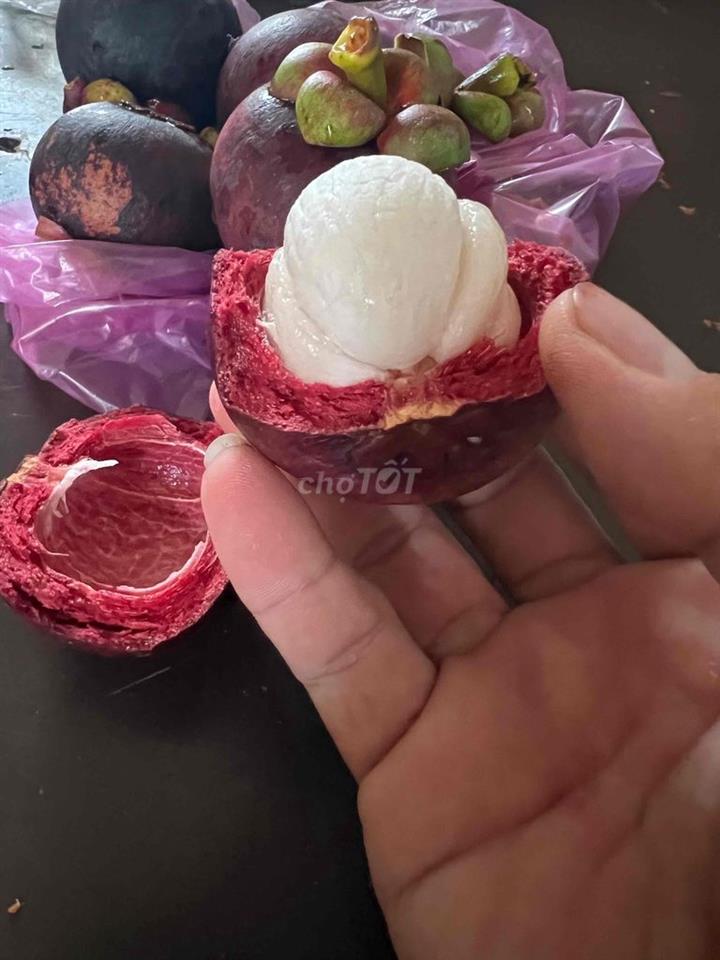 Đất vườn gần một công tại Cần Thơ