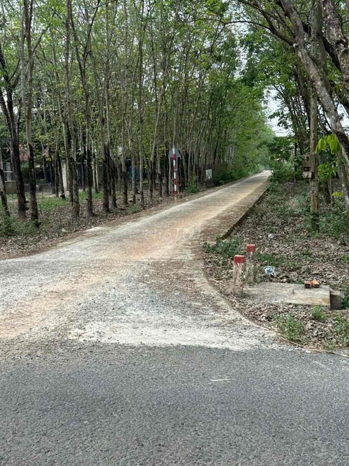 Bán đất 1712m2 mặt tiền đường nhựa