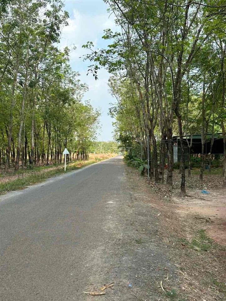 Bán đất 1712m2 mặt tiền đường nhựa