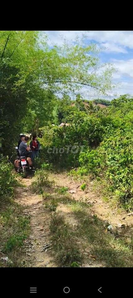 Cho thuê đất trống thổ cư Hòa Sơn (phường Hòa Khánh)
