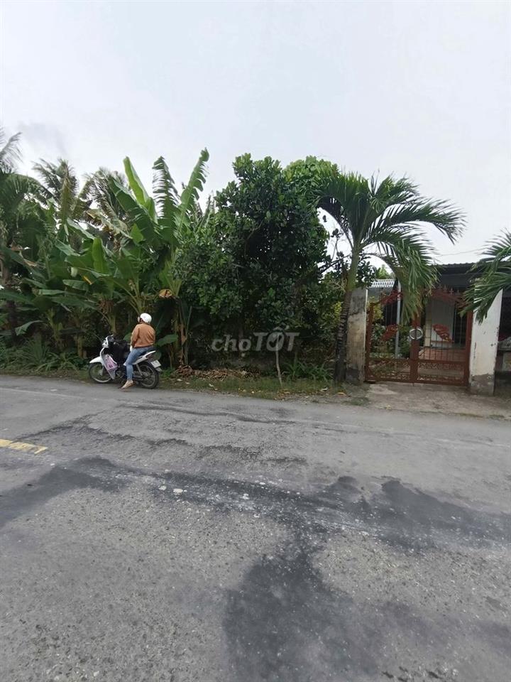 Bán khu đất khủng dương tơ