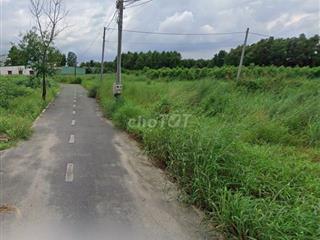 Bán 3 lô đất ngay KCN Giang Điền, đường ô tô thông 1tỷ3/lô SHR