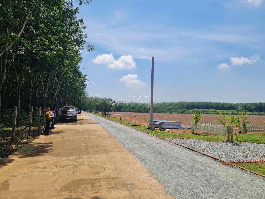 CHỈ 350 TRIỆU SỞ HỮU NGAY 1000m2 ĐẤT GẦN KCN BECAMEX CHƠN THÀNH