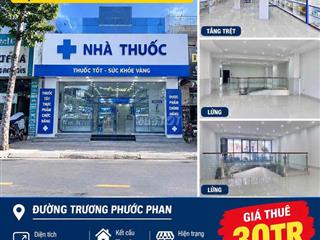 Cho Thuê Nhà Trương Phước Phan 15 x 20 1 trệt 1 lửng thông suốt