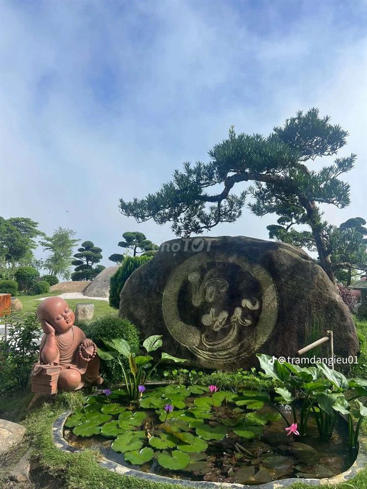 nhà cần bán