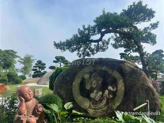 nhà cần bán