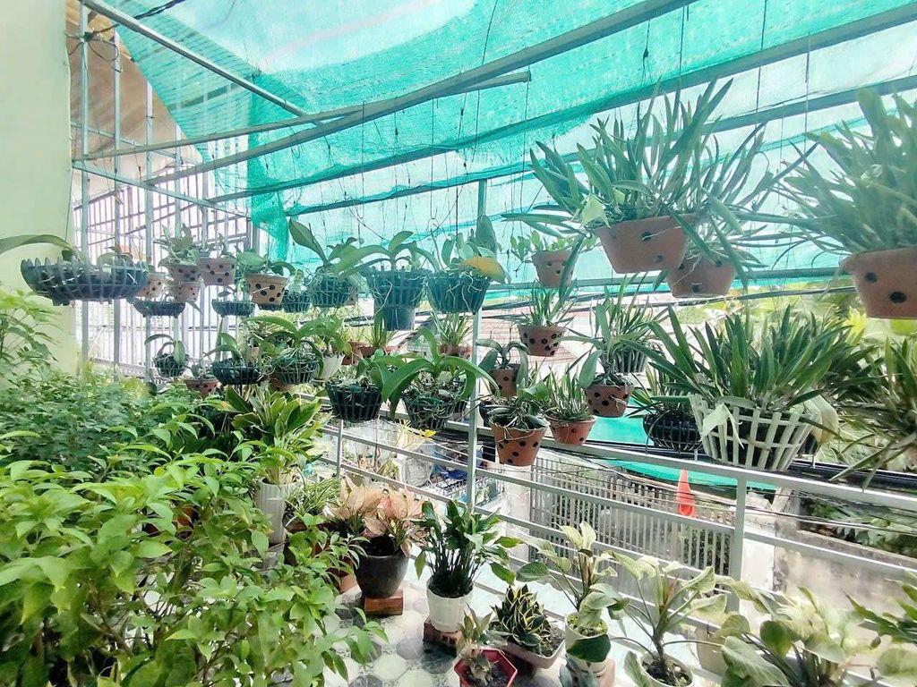 Nhà phố 2MT Trần Thị Bốc, Đông Thạnh, Hóc Môn