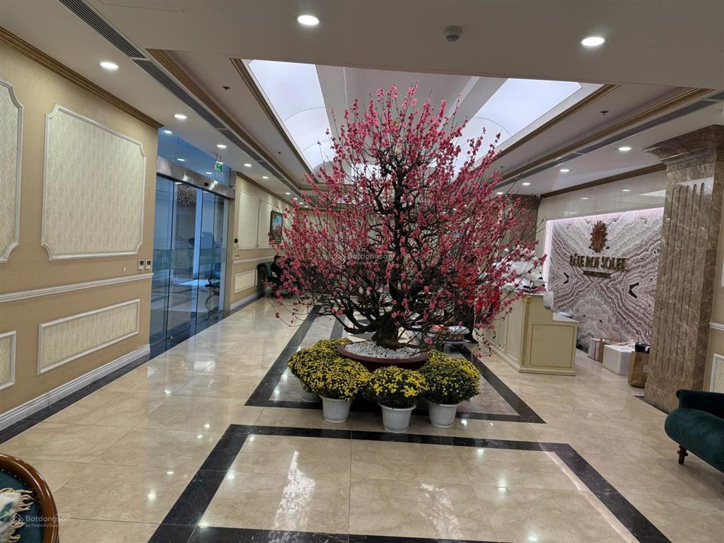 Phòng dự án chủ đầu tư d'. le roi soleil, 59 xuân diệu. cập nhật các căn hộ chuyển nhượng giá rẻ