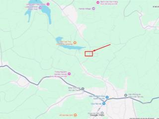 Bán đất 250m2 tại phúc thọ, lâm hà, 2,7 tỷ