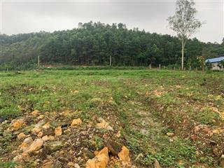 Chính chủ bán đất thành công thái nguyên giá tốt