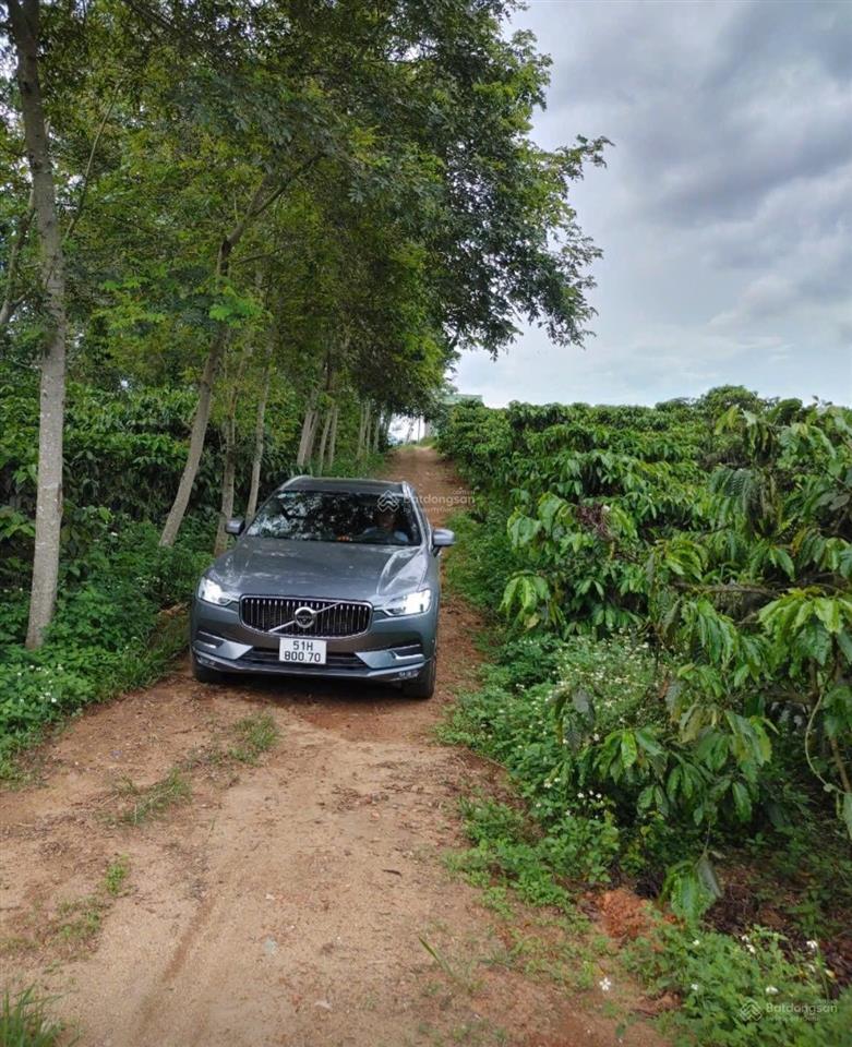 Bán đất xã phúc thọ lâm hà lâm đồng, giá tốt