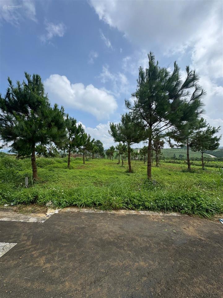 Bán đất thổ cư lộc tân phường 2 bảo lộc giá tốt