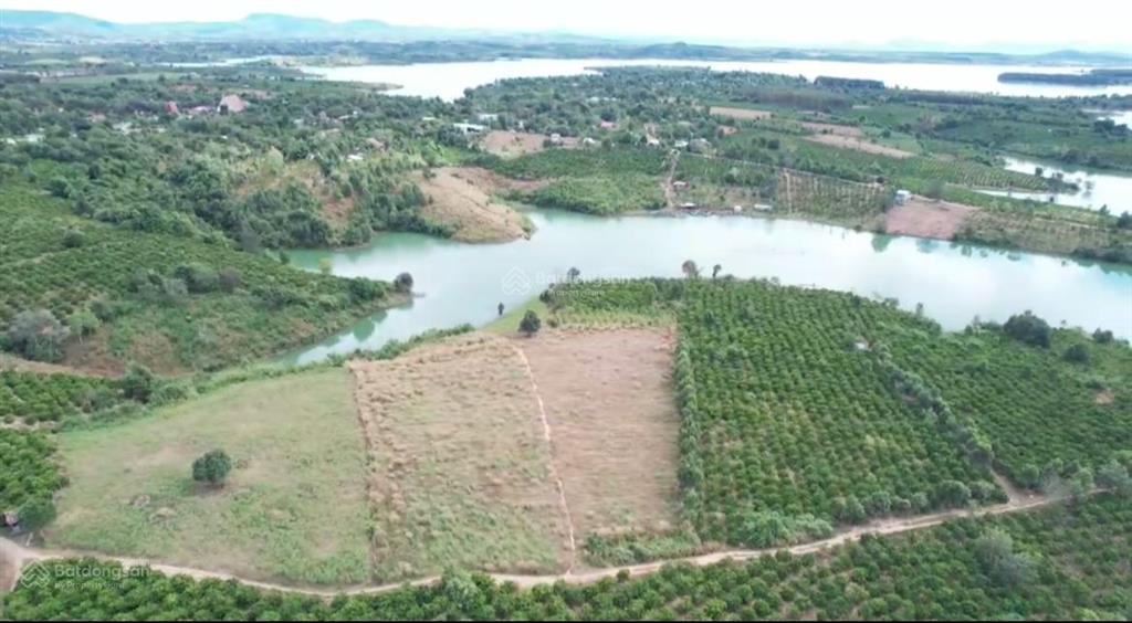 Chính chủ bán đất đắk hà kongung giá tốt