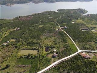 Bán đất xã liên hà, lâm hà, lâm đồng