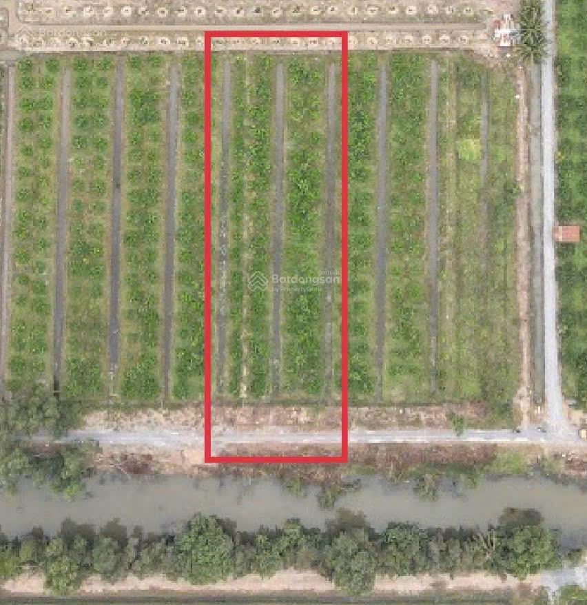 Chính chủ bán đất tân thành thủ thừa, giá tốt