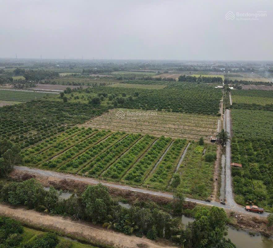 Chính chủ bán đất tân thành thủ thừa, giá tốt