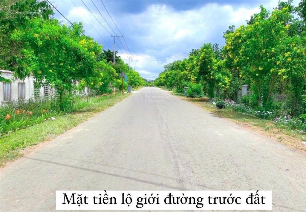 Chính chủ bán đất lâm san sông ray cẩm mỹ
