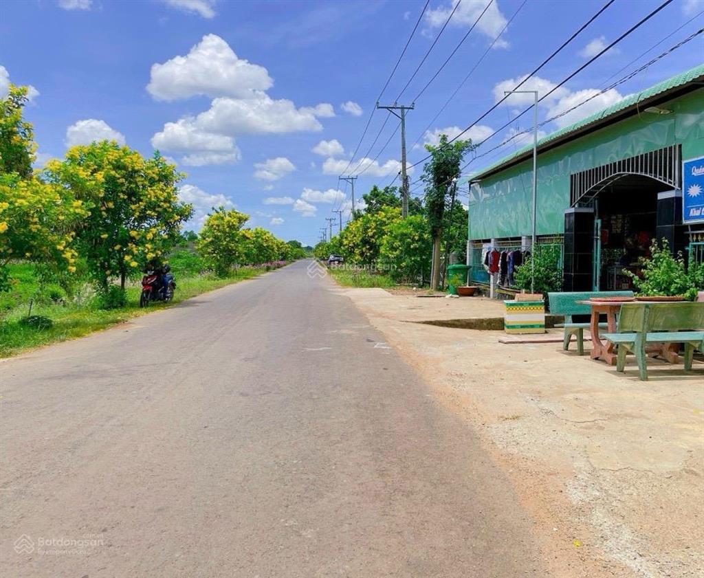 Chính chủ bán đất lâm san sông ray cẩm mỹ