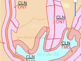Chính chủ cần bán đất xã phúc thọ, lâm đồng giá tốt