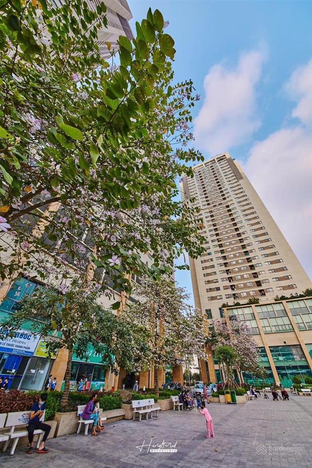 Tổng hợp quỹ căn hộ đang bán tại chung cư the pride giá rẻ nhất thị trường