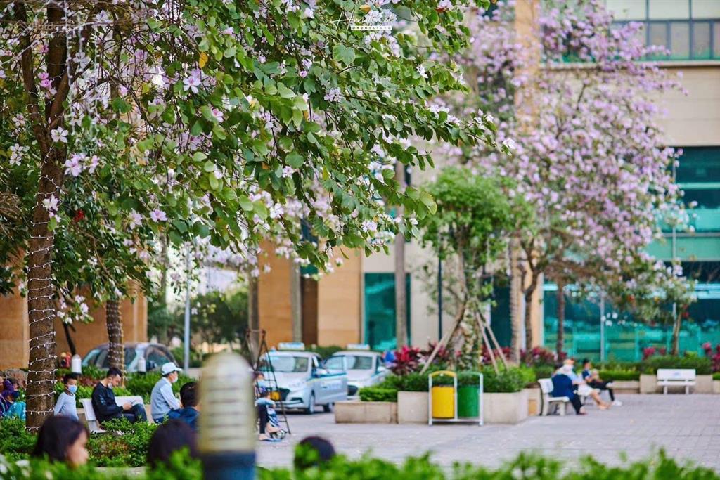 Tổng hợp quỹ căn hộ đang bán tại chung cư the pride giá rẻ nhất thị trường