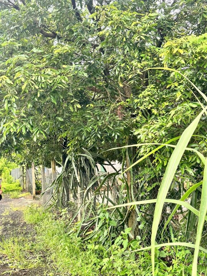 Bán nhà trên tại xã dak pxi, quảng ngãi