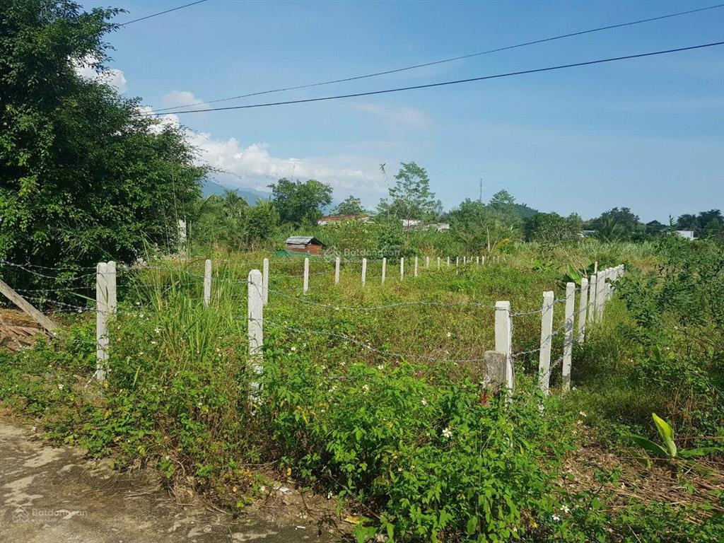 Bán đất mặt tiền đường nhựa xuân đồng, 366.8m2 thổ cư