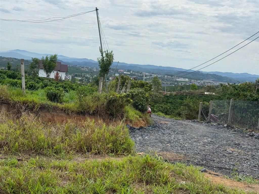 Cần bán 2 lô liền nhau 1,24 hecta tại lâm đồng