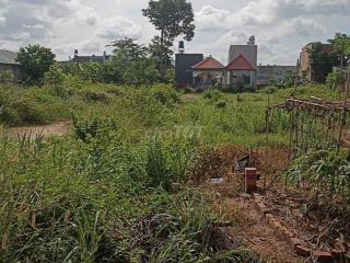 Bán đất mặt tiền đường Đức Hoà