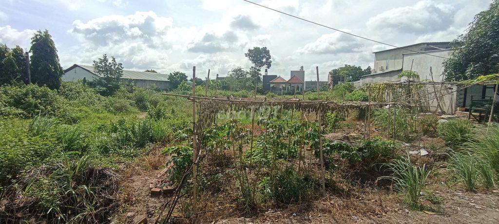 Bán đất mặt tiền đường Đức Hoà
