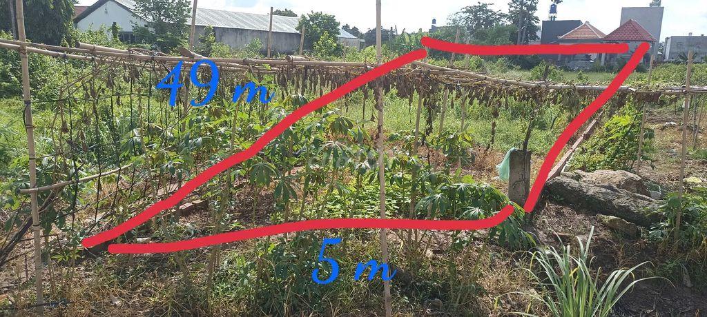 Bán đất mặt tiền đường Đức Hoà