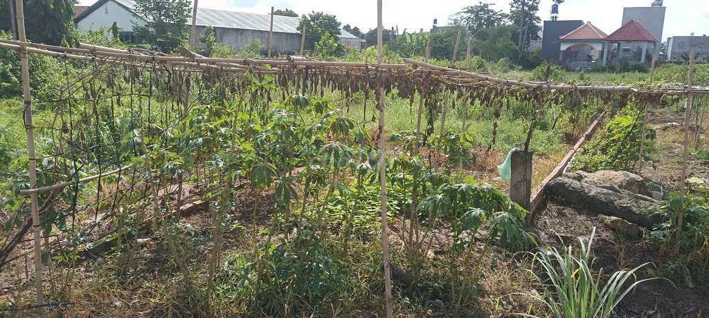 Bán đất mặt tiền đường Đức Hoà