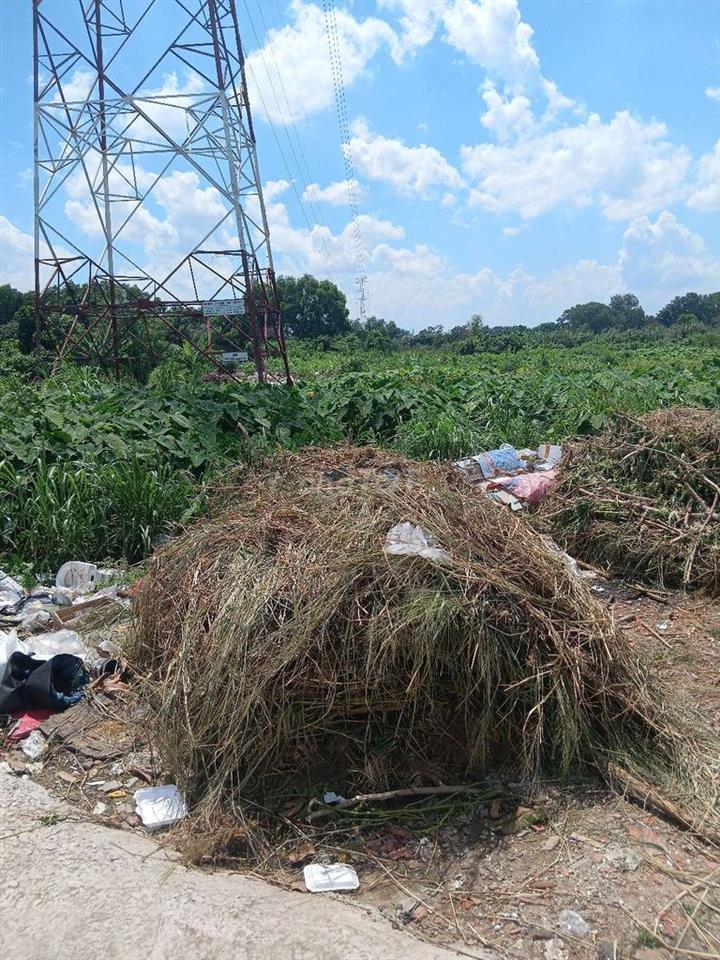 Đất nông nghiệp Trung tâm Sài gòn