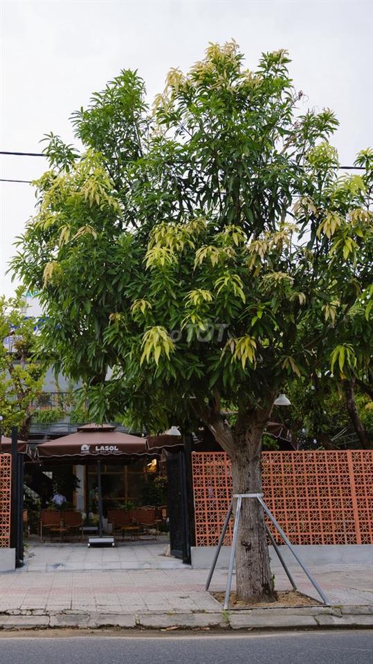 CHO THUÊ MẶT BẰNG VĂN PHÒNG KHU VỰC HÒA XUÂN, ĐÀ NẴNG