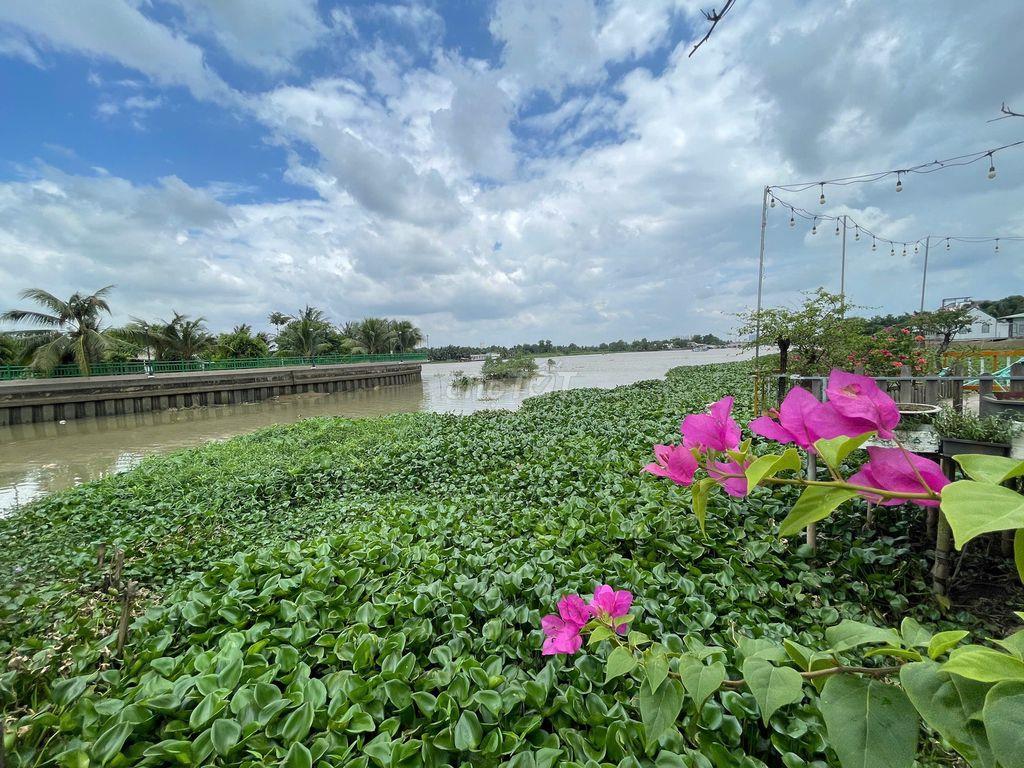 BÁN GẤP! Lô đất ven sông Long Hưng, TP. Đồng Nai- Sổ sẵn sang tên ngay