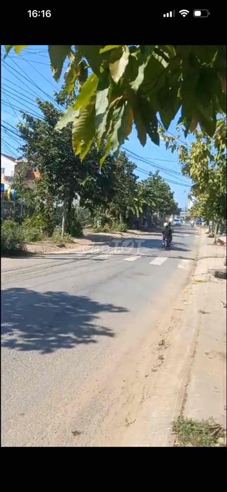 cho thuê nhà 100m2 đất 1000m2