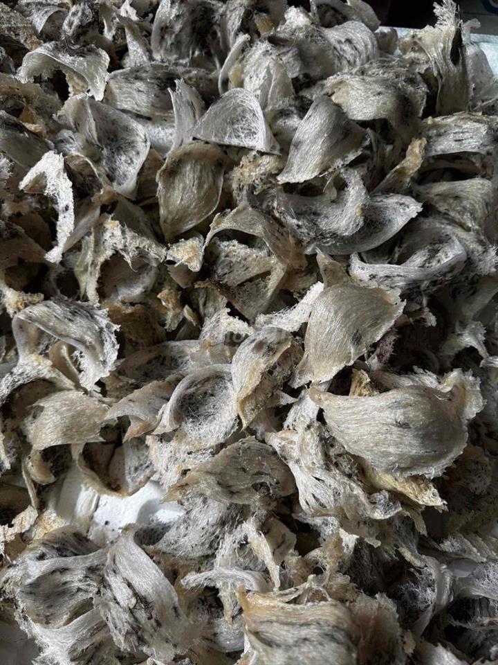 Nhà Yến trên 10 năm