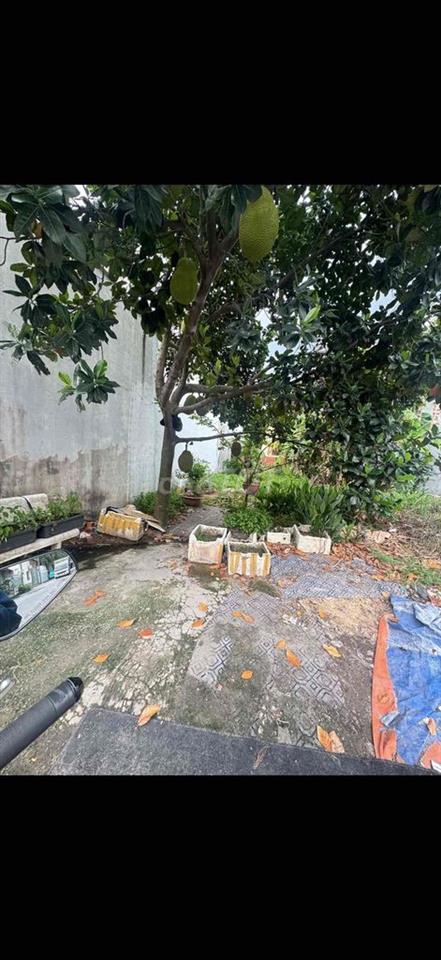 Đất 5x24 - thổ cư - Trung Đông 2 cách Nguyễn Thị Ngâu 100m – Sổ riêng