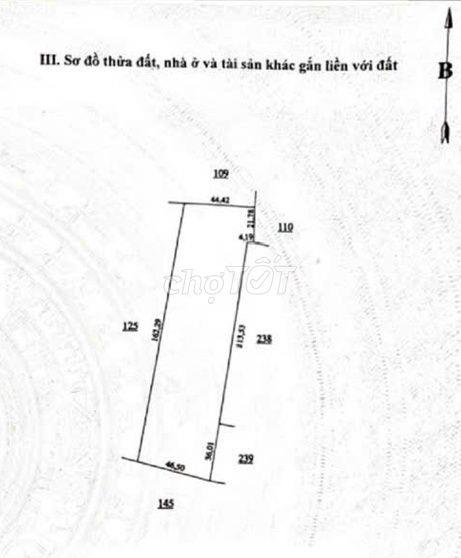 Bán 3 hecta cao su, mặt tiền đường nhựa 9m, Minh Lập - Chơn Thành - BP