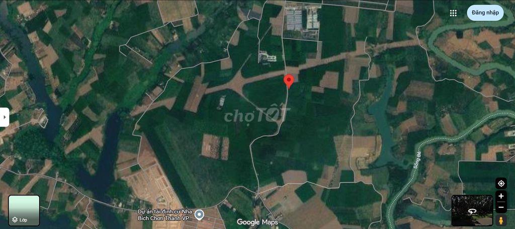 Bán 3 hecta cao su, mặt tiền đường nhựa 9m, Minh Lập - Chơn Thành - BP