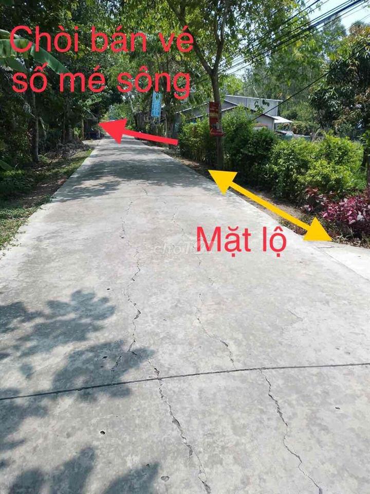 Bán đất trồng cây lâu năm