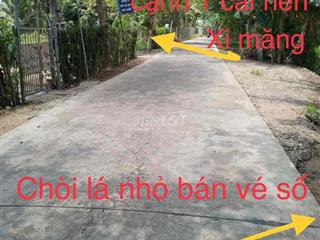 Bán đất trồng cây lâu năm