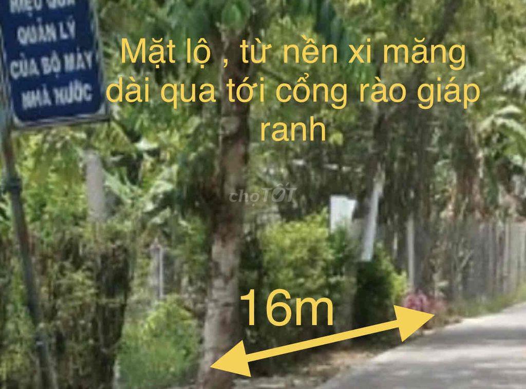 Bán đất trồng cây lâu năm