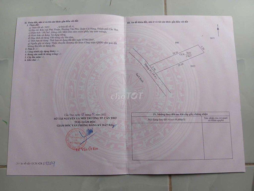 Đường Căn Nhà Màu Tím