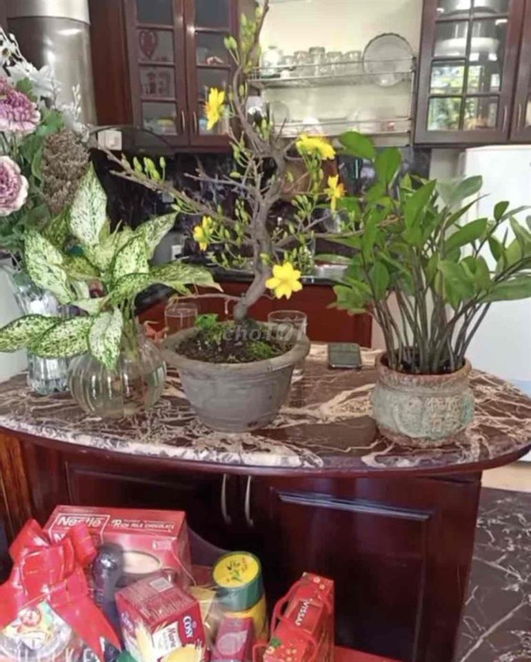 CHO THUÊ NHÀ NGUYÊN CĂN -FUL NỘI THẤT