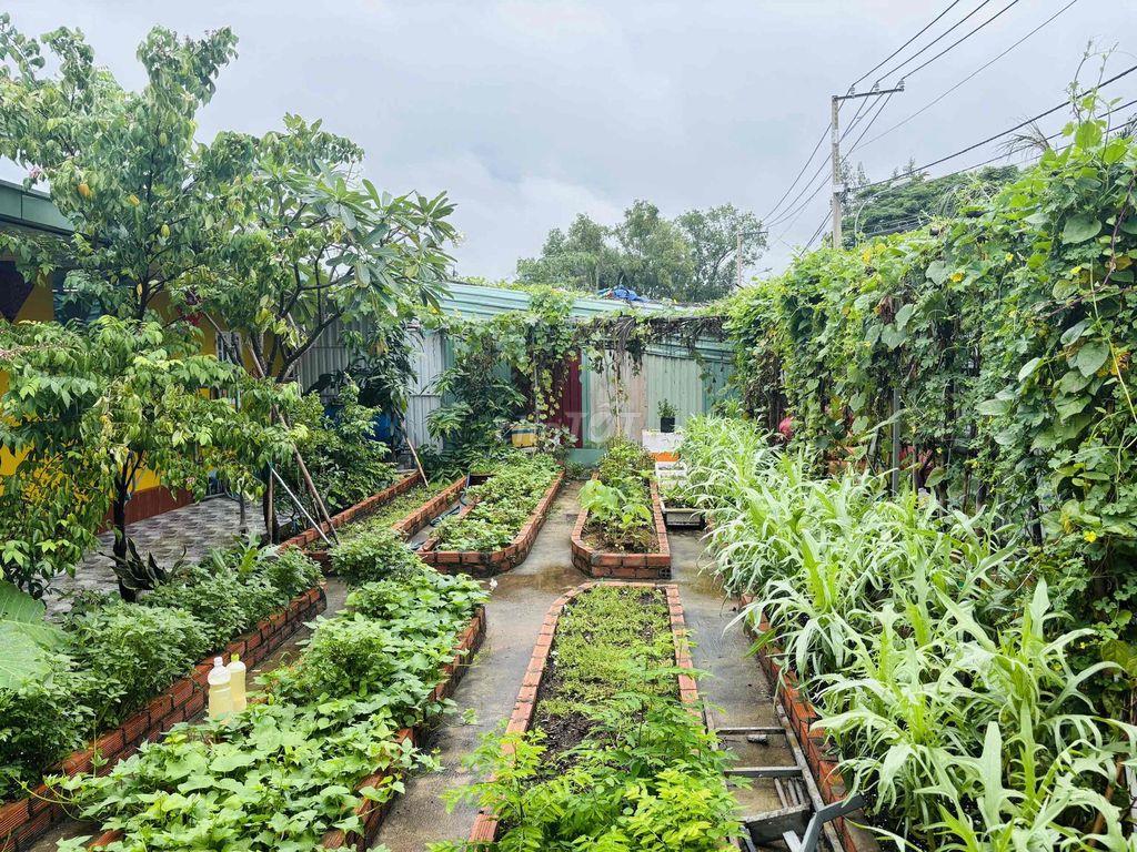 CHO THUÊ NHÀ 300M² – Mặt tiền ĐƯỜNG SỐ 103 TML - Vị trí đắc địa