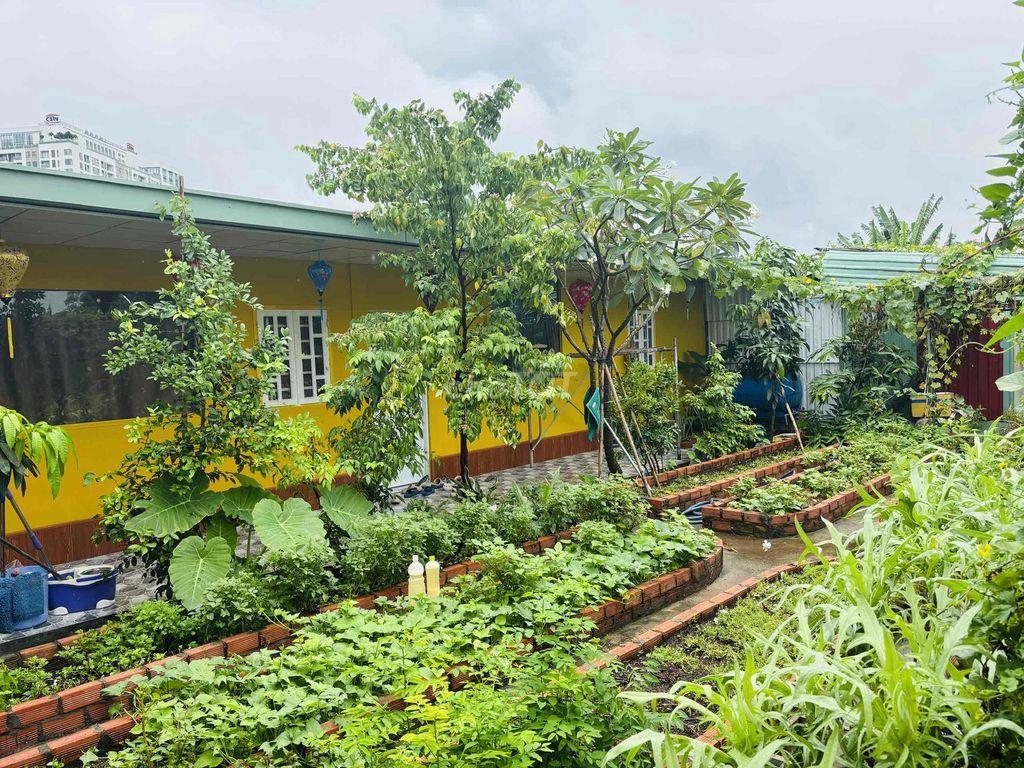 CHO THUÊ NHÀ 300M² – Mặt tiền ĐƯỜNG SỐ 103 TML - Vị trí đắc địa